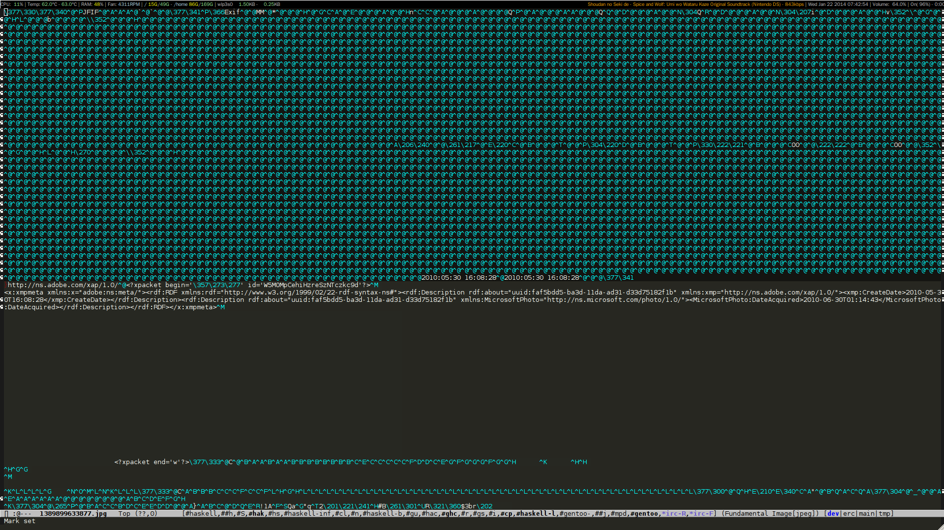 emacs binary file